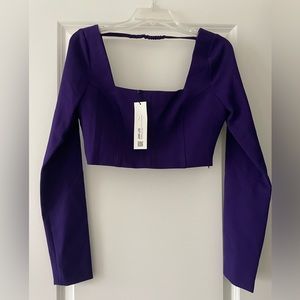 Zara long sleeve purple crop top